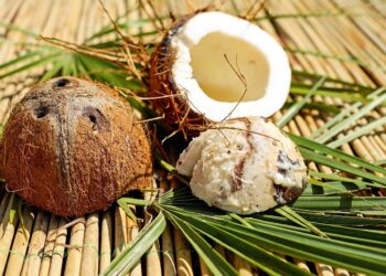 Coconut: Everything you need to know about