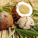 Coconut: Everything you need to know about